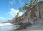Projeto de grande resort na praia de Caraúbas 
