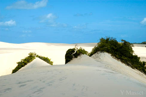 Dunes de Genipabu
