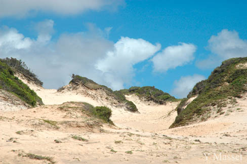 Dunes du Parc das dunas